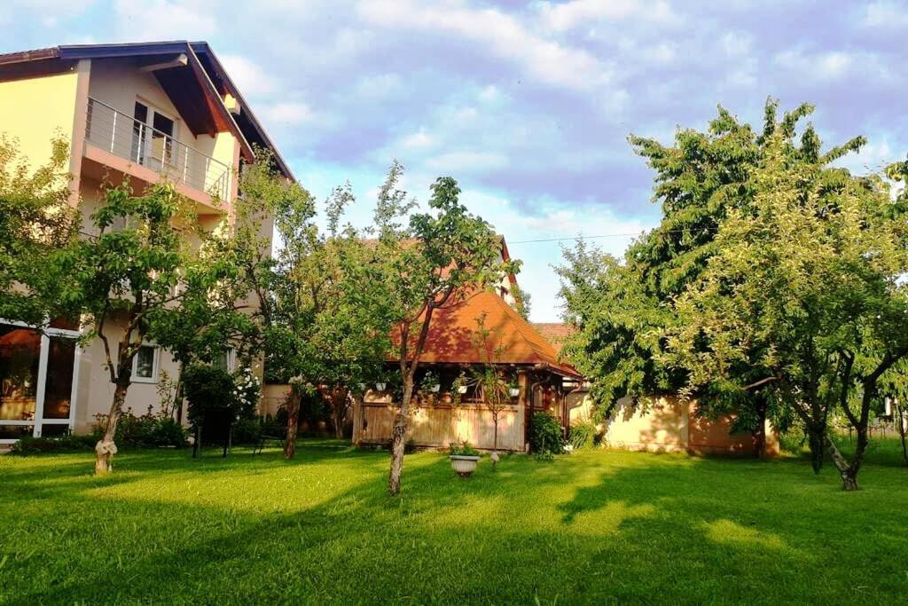Majida Ilidza Sarajevo